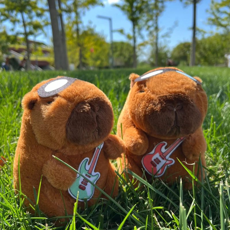 New 21cm Capybara Plush Toy - Image 6